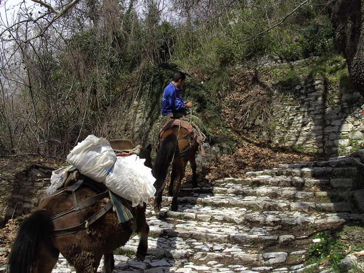 MILIES, donkey path, still in use  